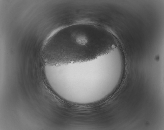 X0000116121315200912211645