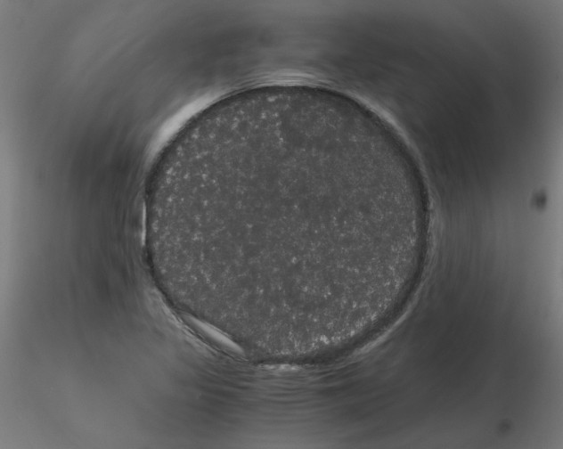 X0000116121317200912211645
