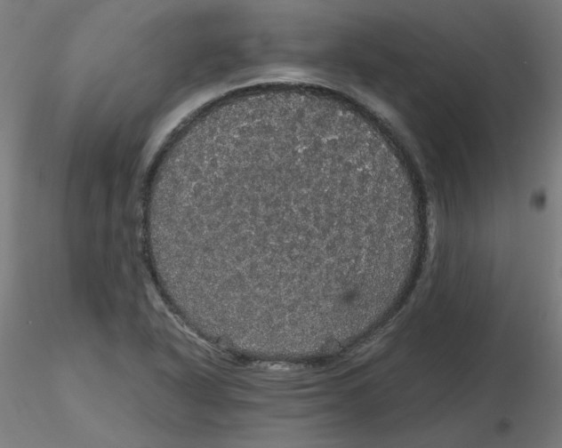 X0000116121318200912211646