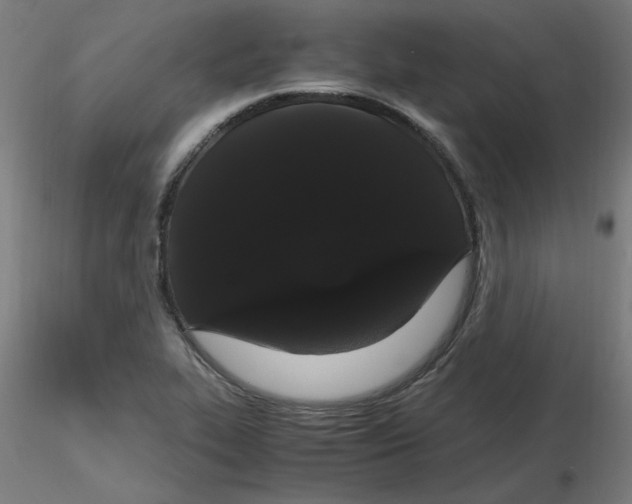 X0000116121319200912211646