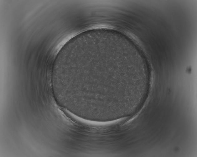 X0000116121321200912211646