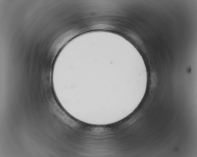 X0000116121322200912211646