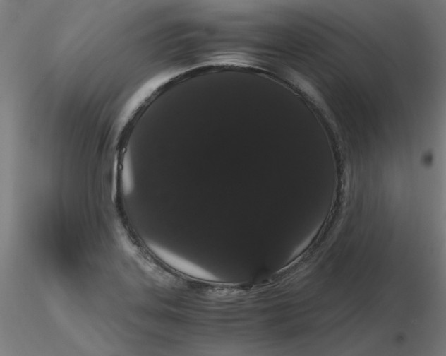 X0000116121323200912211646