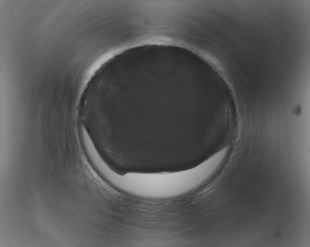 X0000116121326200912211646