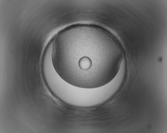 X0000116121327200912211646