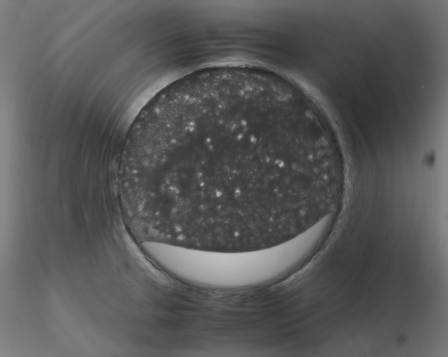 X0000116121329200912211646