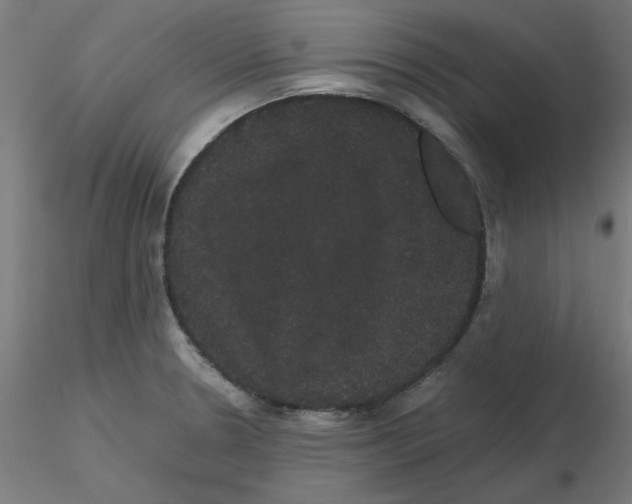 X0000116121330200912211646