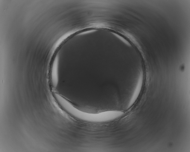 X0000116121331200912211646