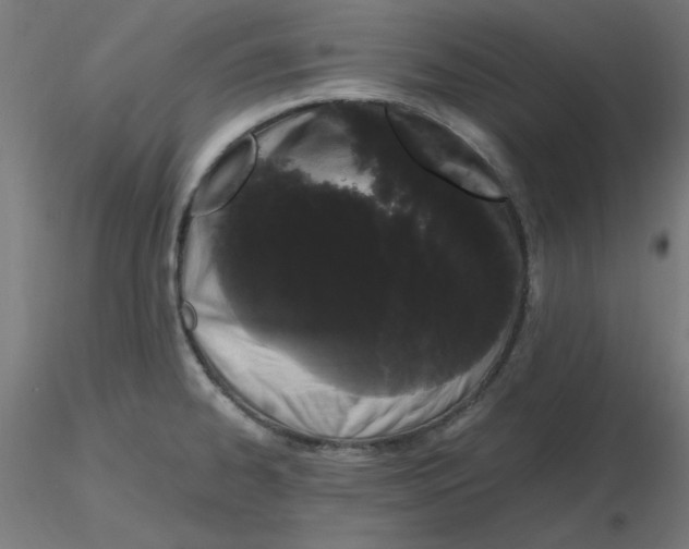 X0000116121334200912211646