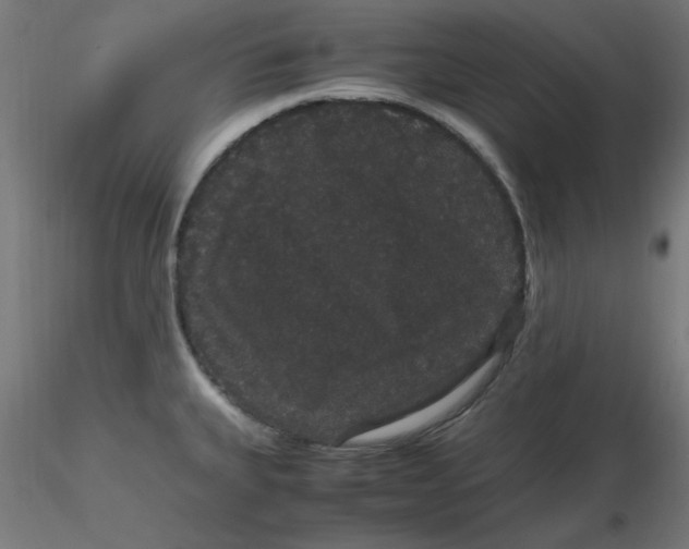 X0000116121335200912211646