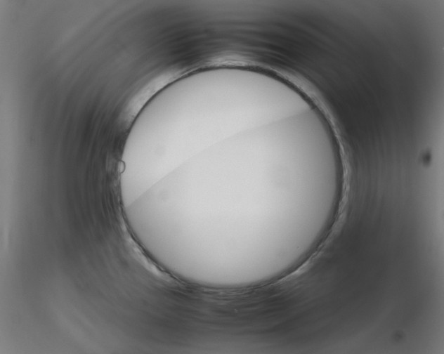 X0000116121337200912211646