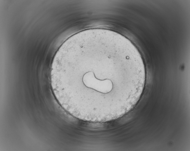 X0000116121338200912211646