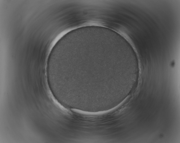 X0000116121339200912211646