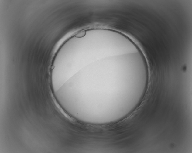 X0000116121341200912211646