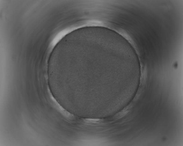 X0000116121342200912211646