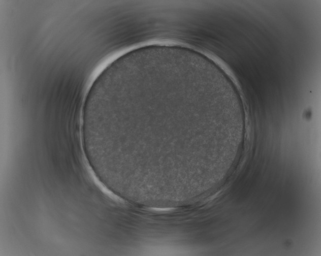 X0000116121343200912211646