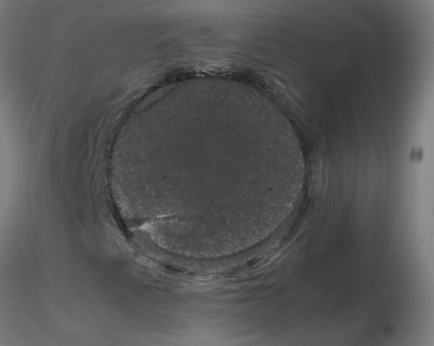X0000116121345200912211645