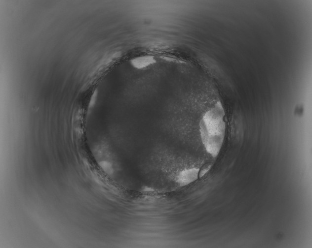 X0000116121346200912211645