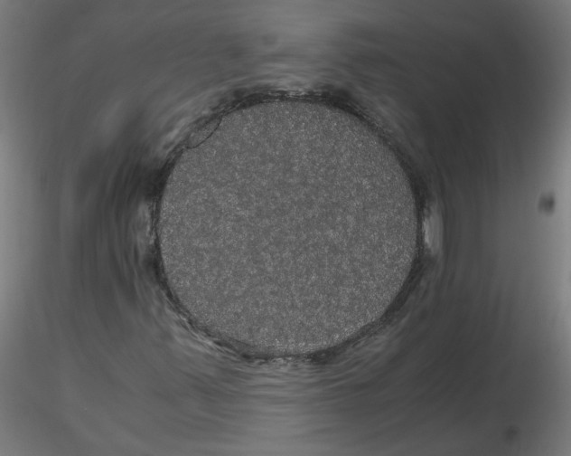 X0000116121347200912211645