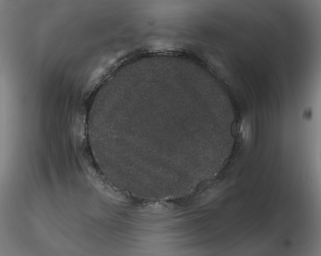 X0000116121348200912211645