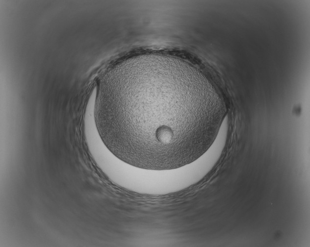 X0000116121349200912211645