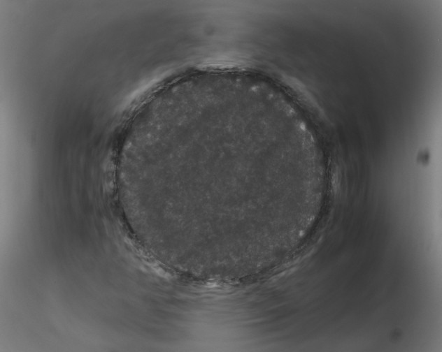 X0000116121350200912211645