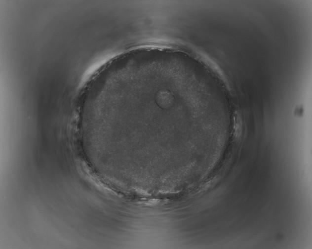 X0000116121352200912211645