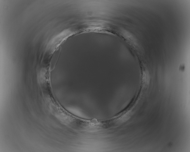 X0000116121353200912211645
