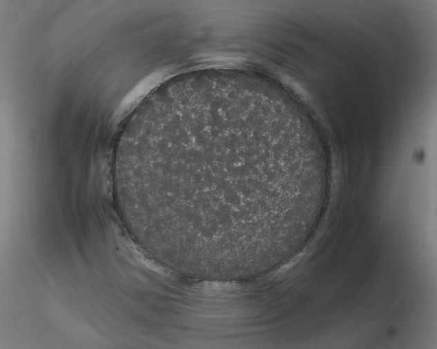 X0000116121354200912211645