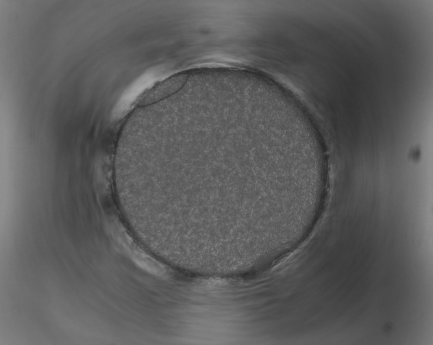 X0000116121355200912211645