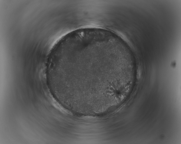 X0000116121356200912211645