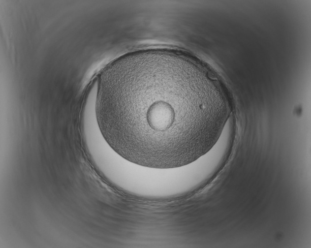 X0000116121357200912211645