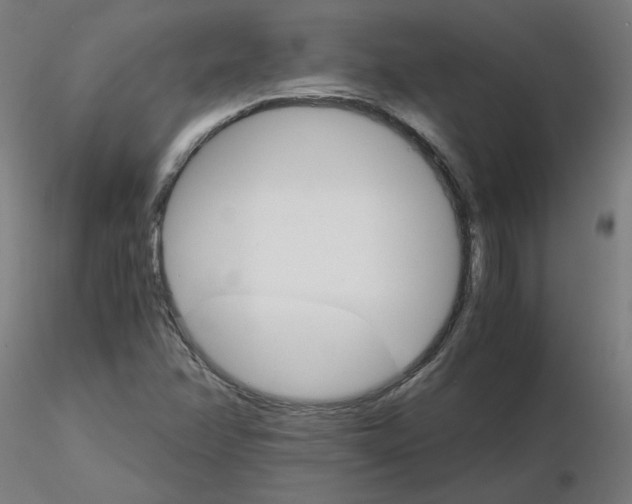 X0000116121358200912211645
