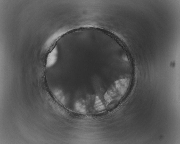 X0000116121359200912211645