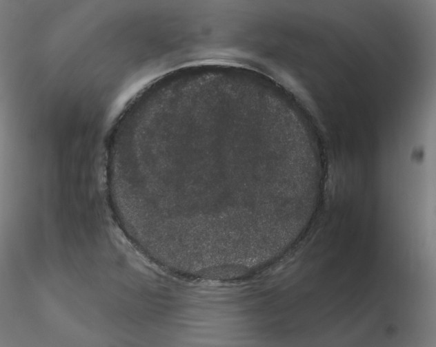 X0000116121360200912211645