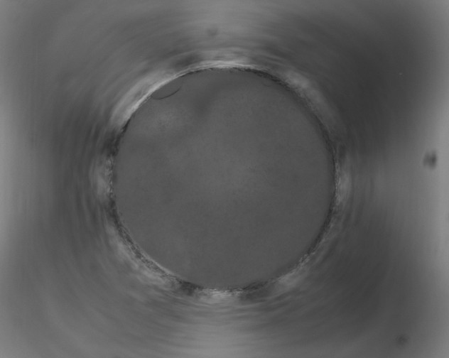 X0000116121361200912211645