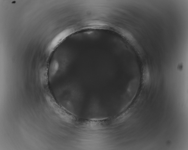 X0000116121362200912211645