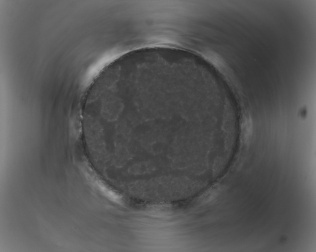 X0000116121363200912211645