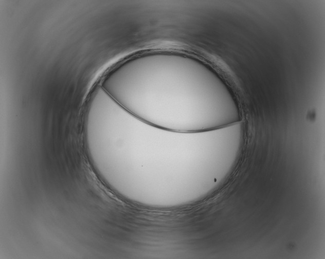 X0000116121364200912211645
