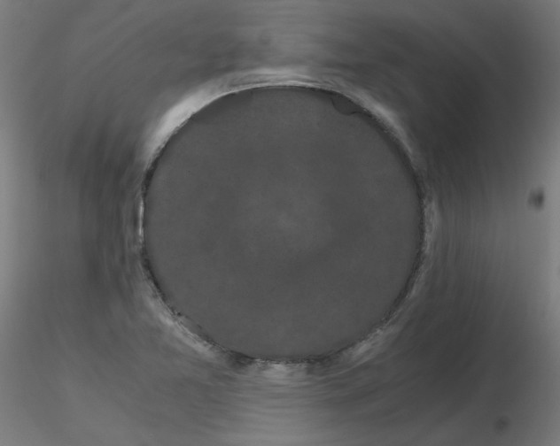 X0000116121365200912211645