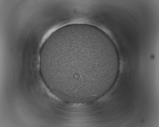 X0000116121366200912211645
