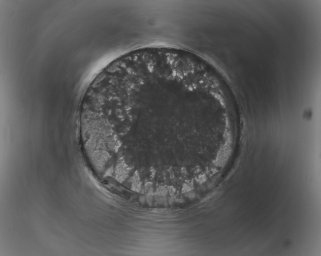 X0000116121367200912211645
