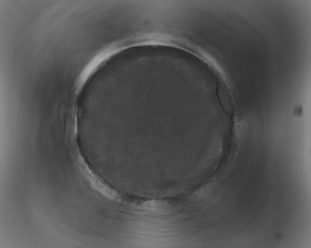 X0000116121368200912211645