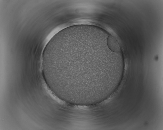 X0000116121370200912211645