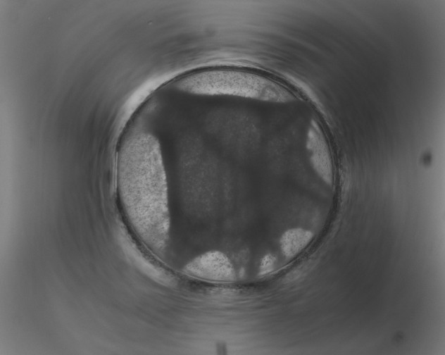 X0000116121371200912211645