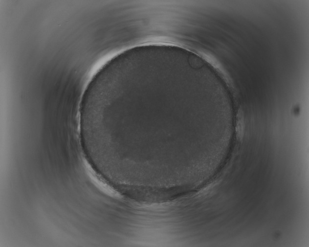 X0000116121372200912211645