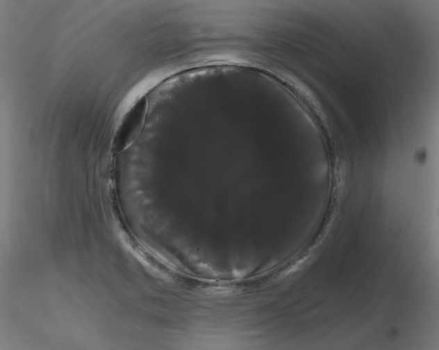 X0000116121373200912211645