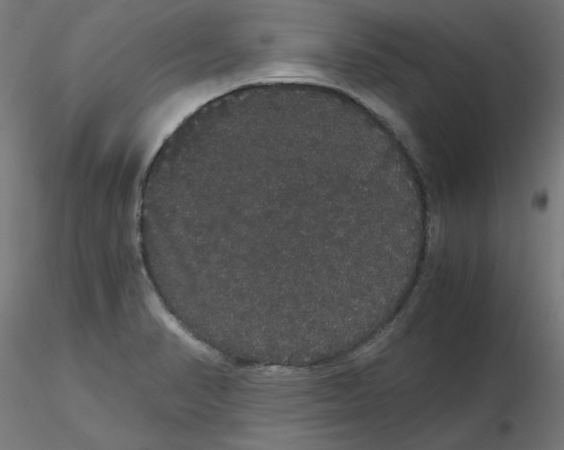 X0000116121374200912211645