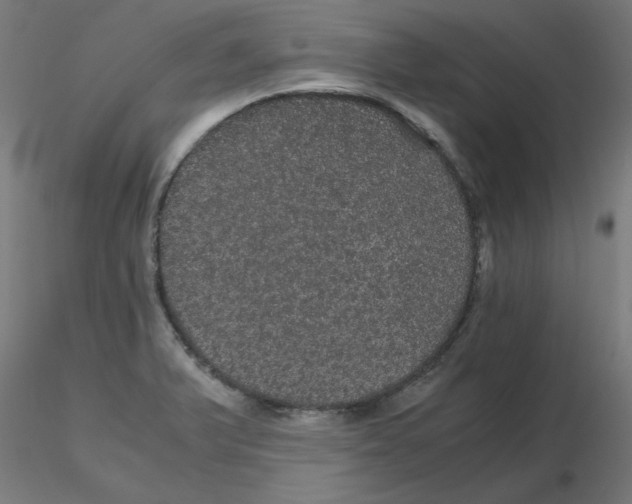 X0000116121375200912211645