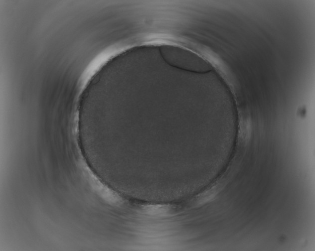 X0000116121376200912211645